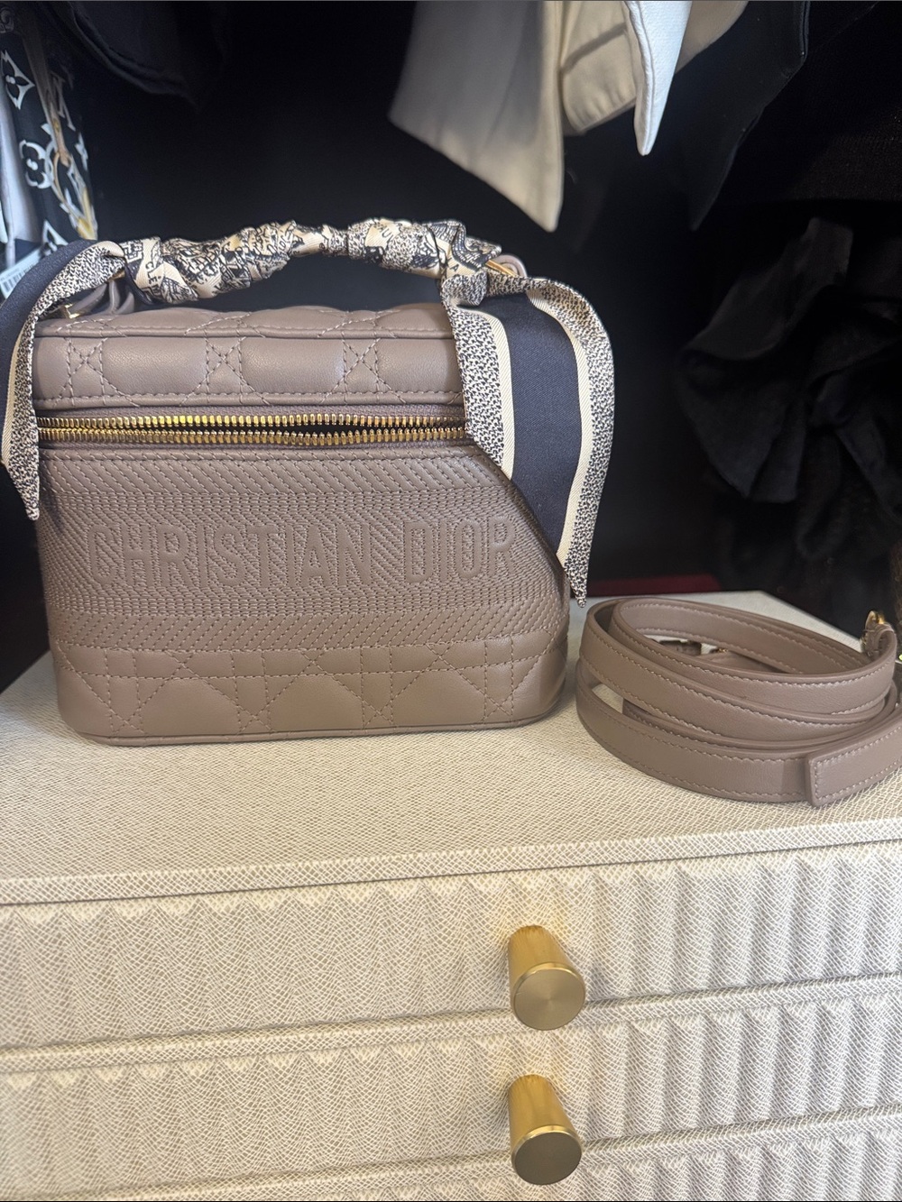 Dior Taupe Vanity Bag with Gold Zipper includes brand new gorgeous twilly